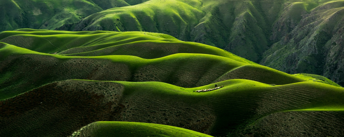 services-01 Services 01