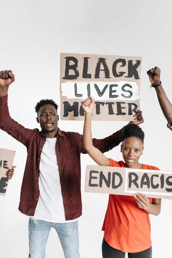 services-01 Protesters holding Black Lives Matter and End Racism signs, expressing social justice and activism.